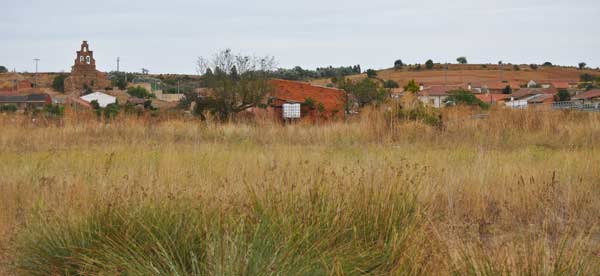 torre-1-3