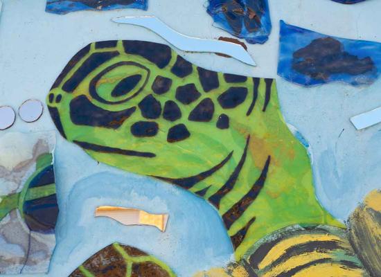 Detalle de la tortuga obra El Gran Azul 