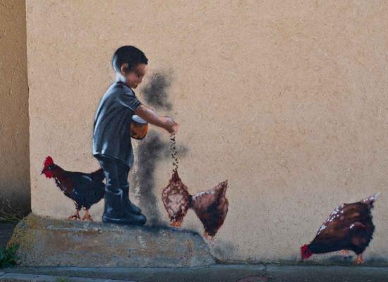 Obra tareas: niño dando de comer a las gallinas