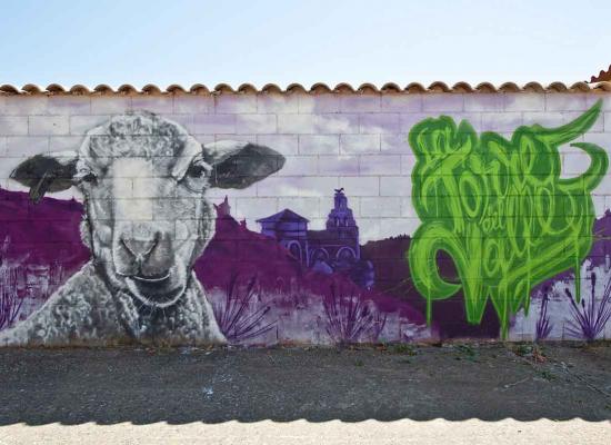 Obra ovejas zamoranas